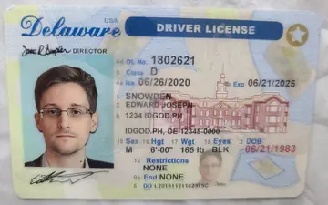 Delaware Fake ID | Buy Scannable DE IDs with UV Holograms ID God