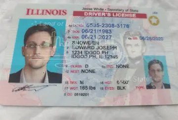 Fake Illinois ID Identical DMV Polycarbonate | IDGod.ph ID God