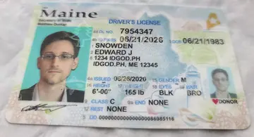 Maine Fake ID | Buy Scannable ME IDs with UV Holograms ID God