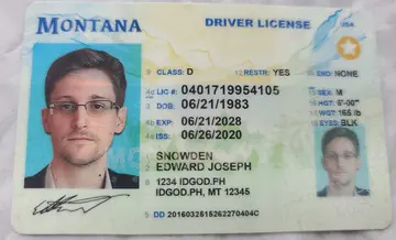Montana Fake ID | Buy Scannable MT IDs with UV Holograms ID God