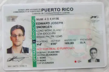 Puerto Rico Fake ID | Buy Scannable IDs with UV Holograms ID God