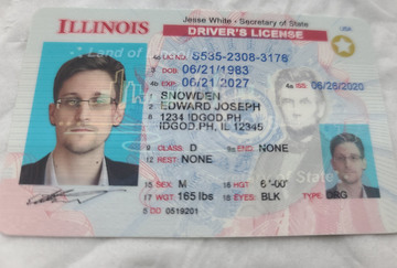 High-Quality Illinois Fake ID with Security Features