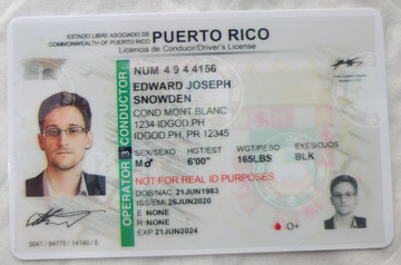 High-Quality Puerto Rico Fake ID with Security Features
